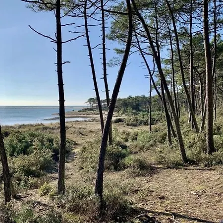La Des Hautes 4 étoiles, 10 Personnes, Piscine Privée Chauffée, Parc Arboré, Proche Et Marais *