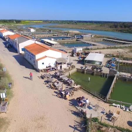 La Des Hautes 4 étoiles, 10 Personnes, Piscine Privée Chauffée, Parc Arboré, Proche Et Marais *