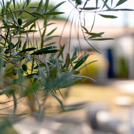 La Des Hautes 4 étoiles, 10 Personnes, Piscine Privée Chauffée, Parc Arboré, Proche Et Marais * Talmont-Saint-Hilaire