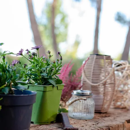 Hautes Mers, Piscine Chauffee & Grand Jardin Villa *